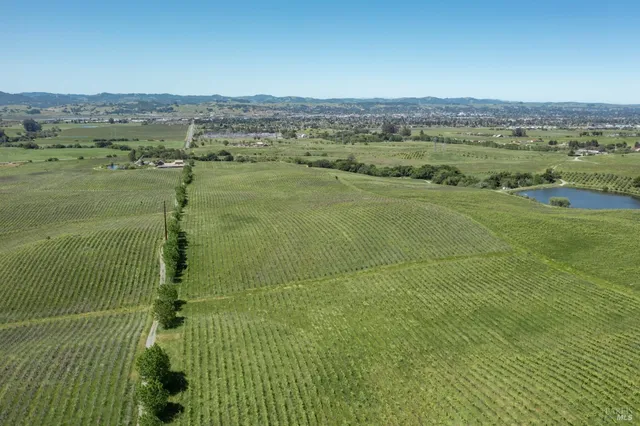 a view of a lake with a city