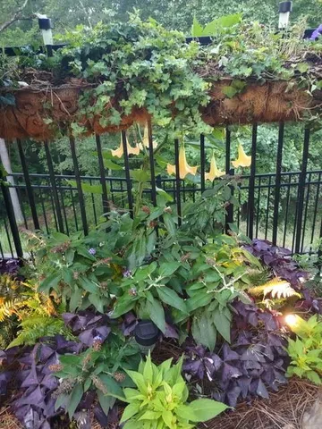 $520,000 | 310 Pepperwood Way, Canton, GA 30114