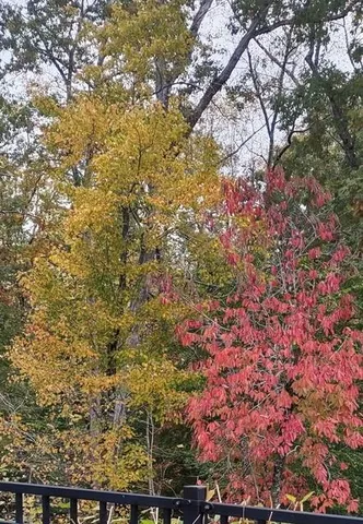 $520,000 | 310 Pepperwood Way, Canton, GA 30114