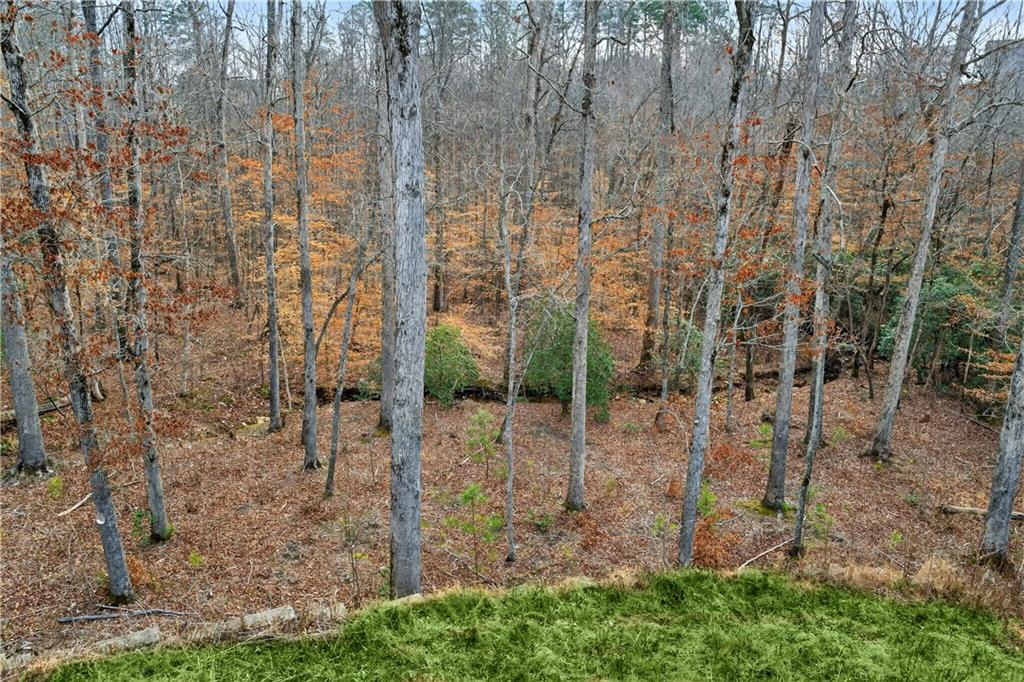 310 Pepperwood Way Canton, GA 30114 - Photo 8 of 54