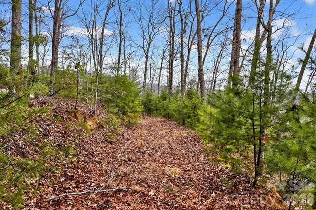 a view of a yard with plants and trees