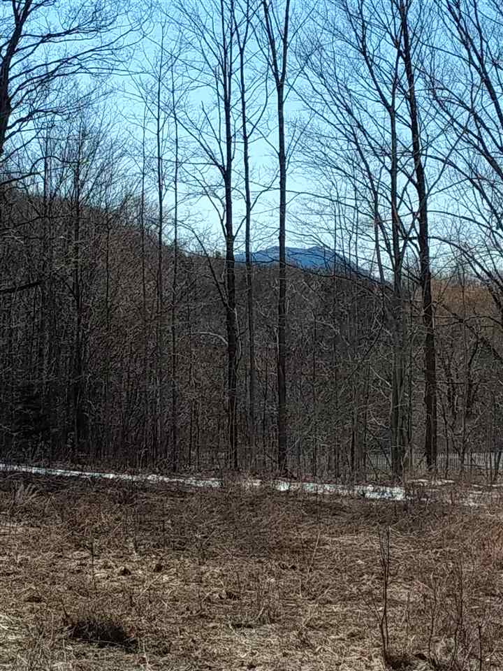 1-a-2 Lomeadow Road, Unit 1A2 Hinesburg, VT 05461 - Photo 15 of 16 Gallery Image 15
