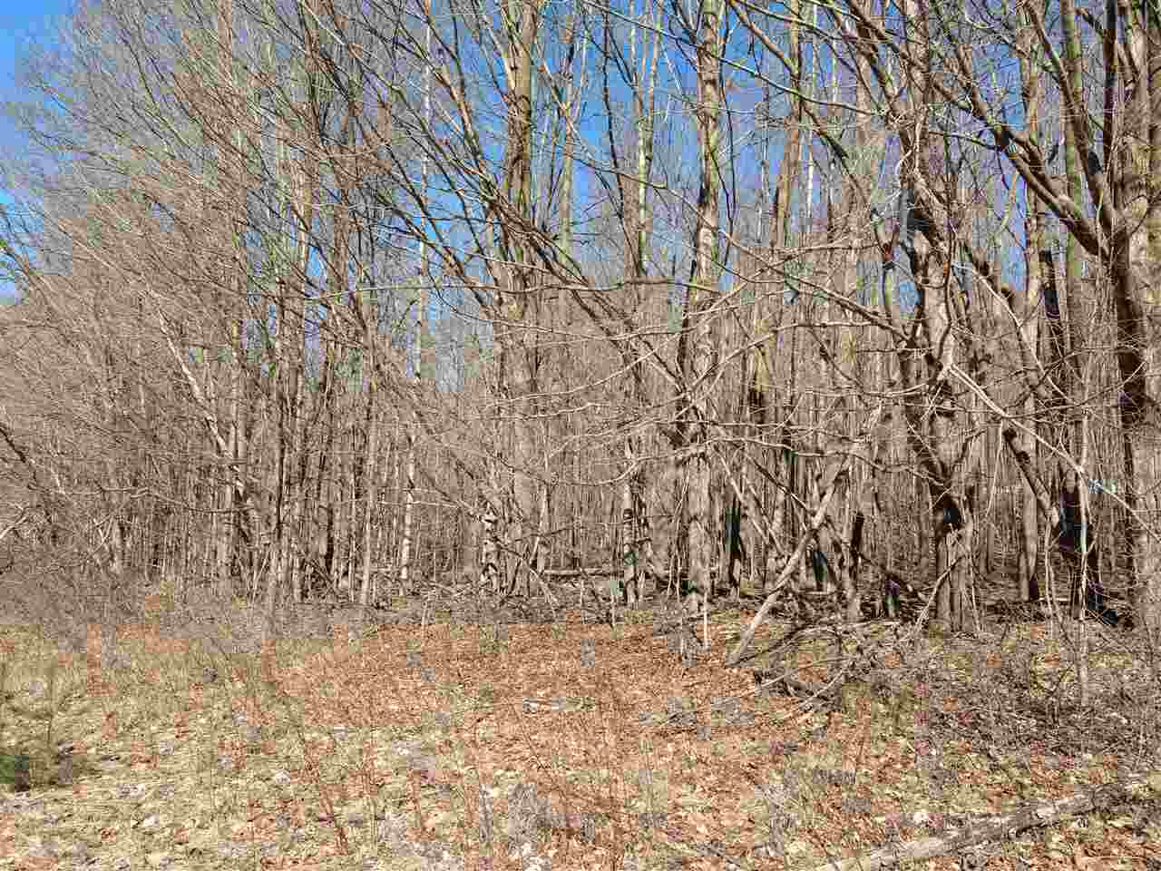 1-a-2 Lomeadow Road, Unit 1A2 Hinesburg, VT 05461 - Photo 8 of 16 Gallery Image 8