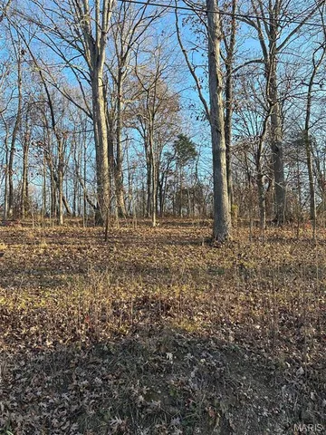 $45,000 | 28 Wagon Creek Loop, Creal Springs, IL 62922