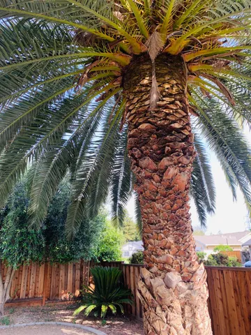 $3,300 | 593 Andrea Circle, Livermore, CA 94550