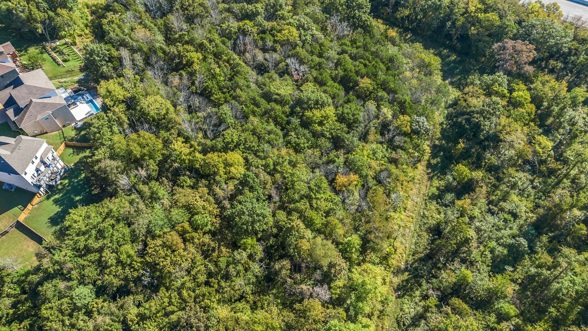 290 Forrest Valley Circle Nashville, TN 37209 - Photo 11 of 20 with a small yard