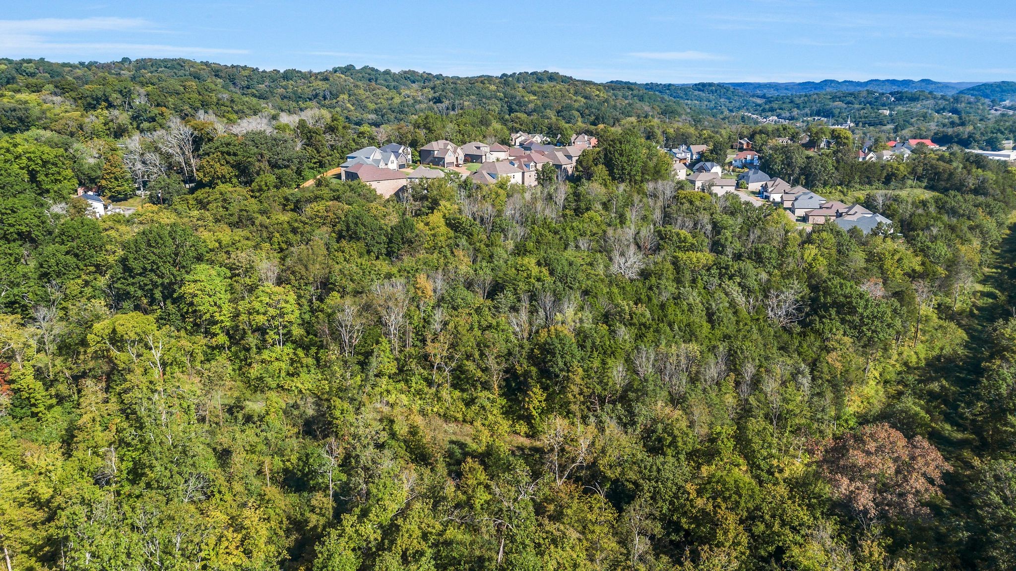 290 Forrest Valley Circle Nashville, TN 37209 - Photo 15 of 20 a view of a city with lush green forest