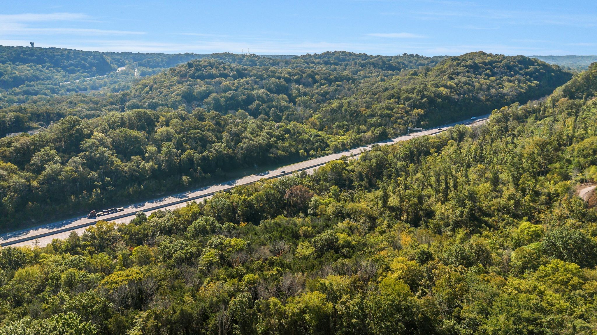 290 Forrest Valley Circle Nashville, TN 37209 - Photo 19 of 20 a view of a lush green forest with mountains in the background