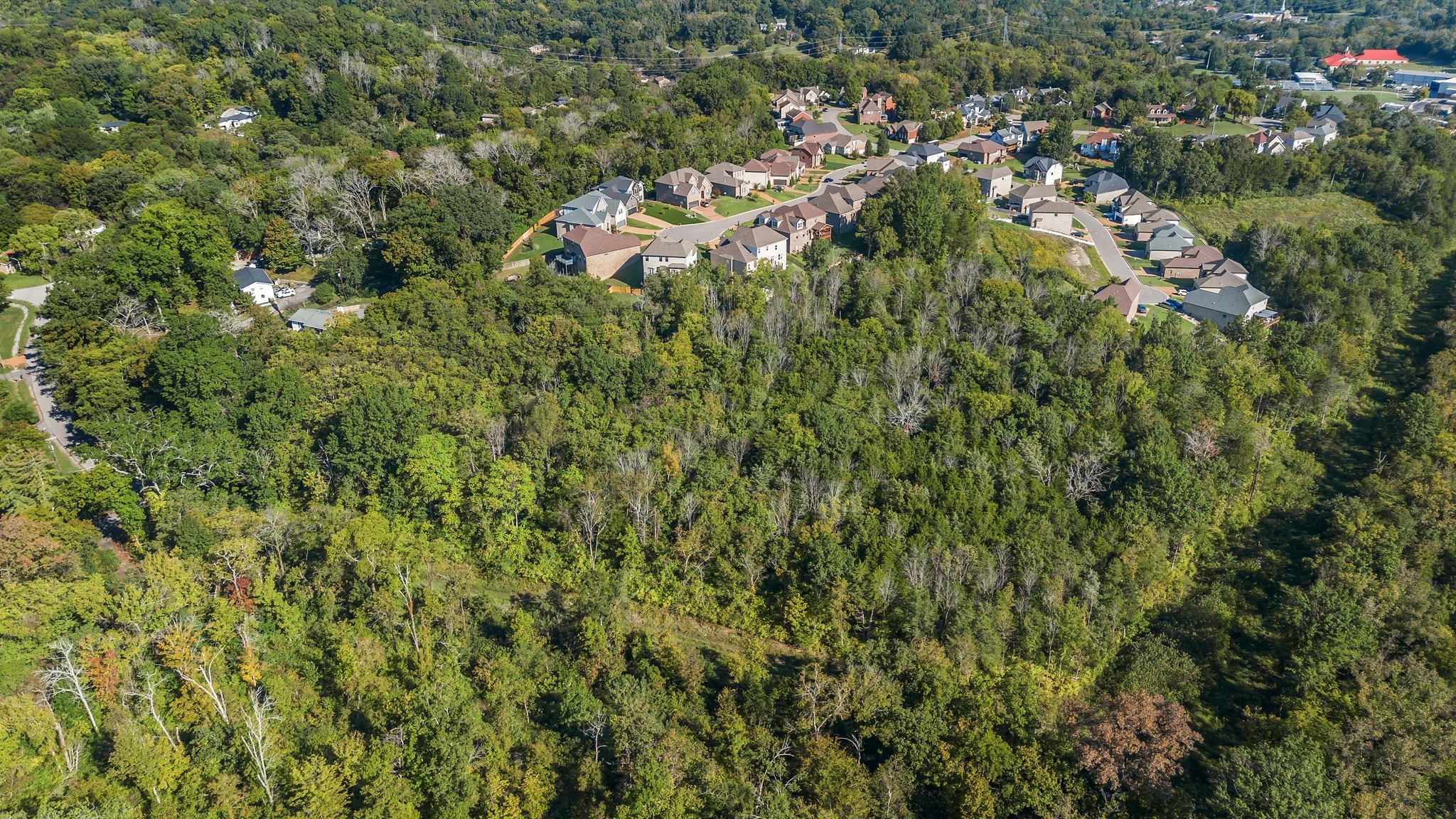 290 Forrest Valley Circle Nashville, TN 37209 - Photo 4 of 20 a view of a house with a lush green forest