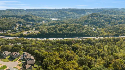 an aerial view of forest