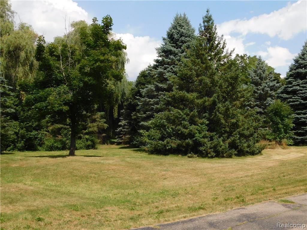 Vl Devonshire Road Fowlerville, MI 48836 - Photo 1 of 2