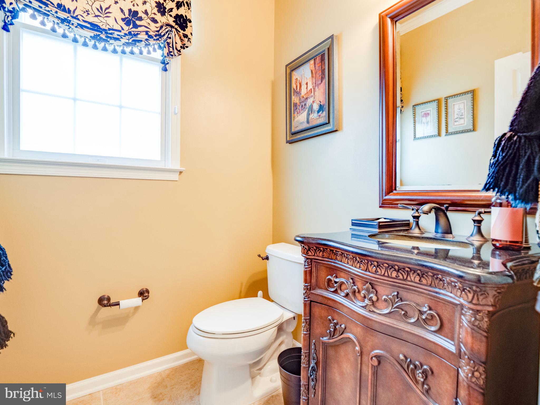 23152 Evergreen Ridge Drive Ashburn, VA 20148 - Photo 29 of 72 Charming bathroom with elegant details.