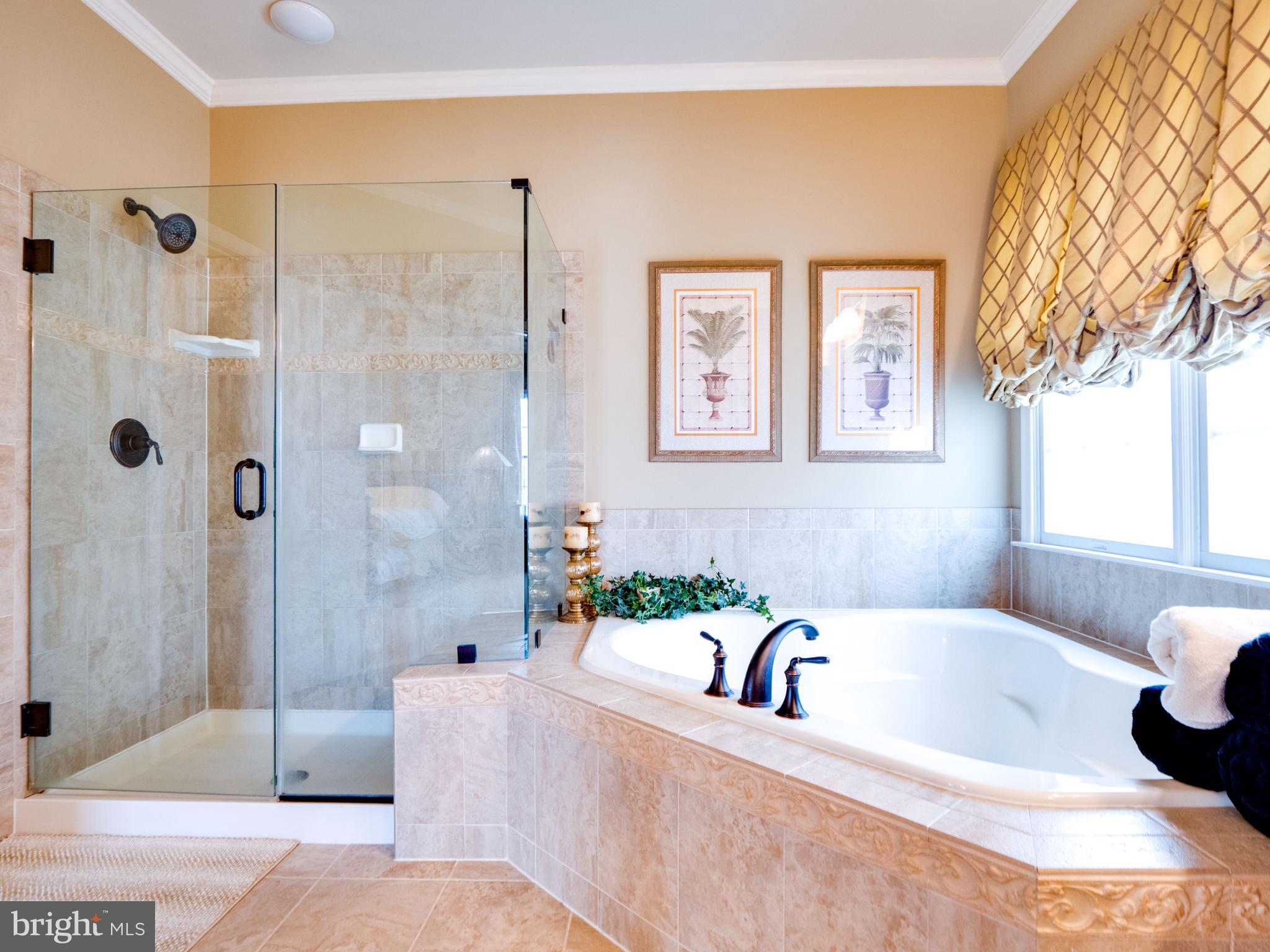 23152 Evergreen Ridge Drive Ashburn, VA 20148 - Photo 38 of 72 Elegant bathroom with luxurious features.