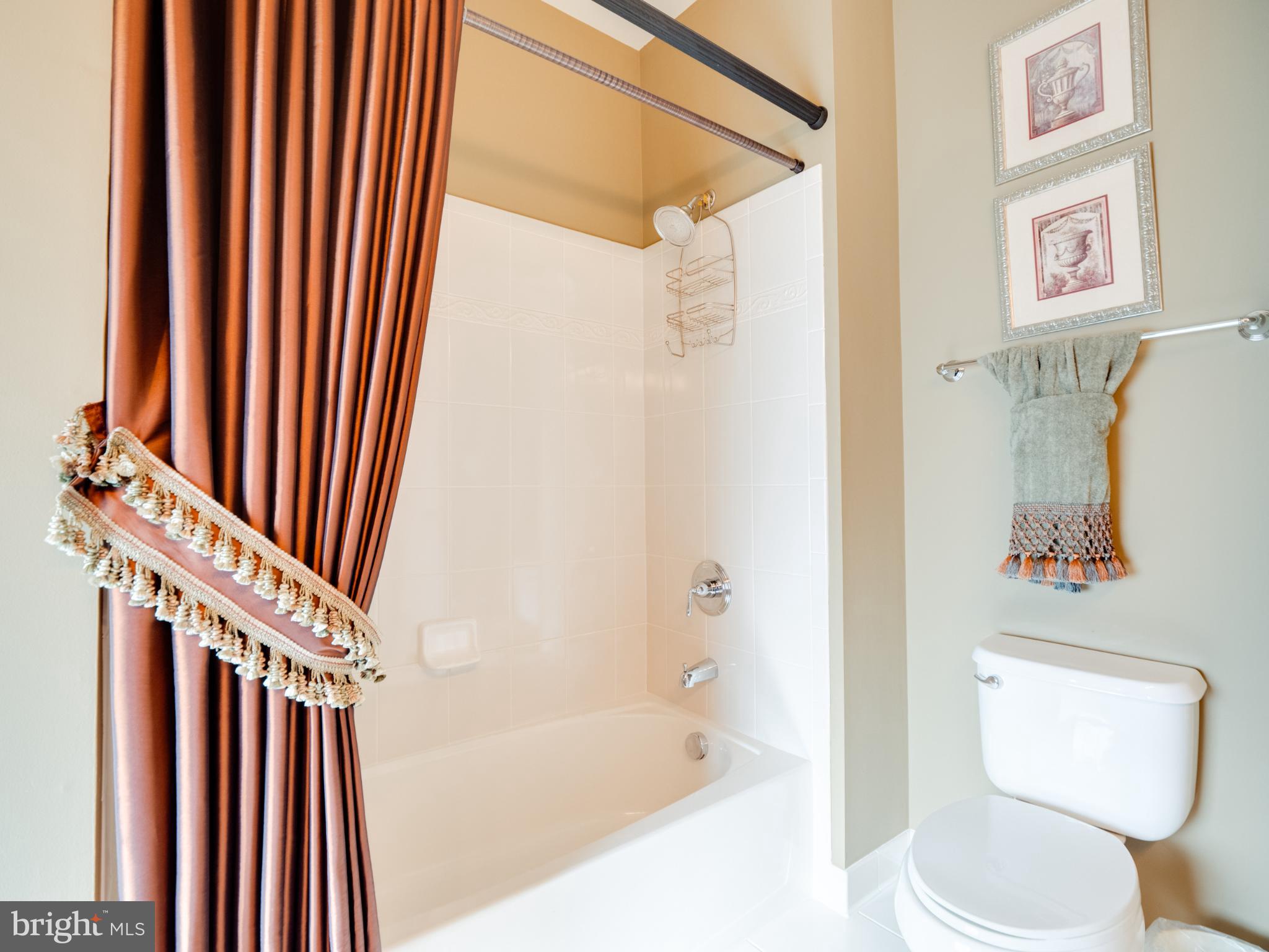 23152 Evergreen Ridge Drive Ashburn, VA 20148 - Photo 46 of 72 Elegant bathroom with rich drapery accents.