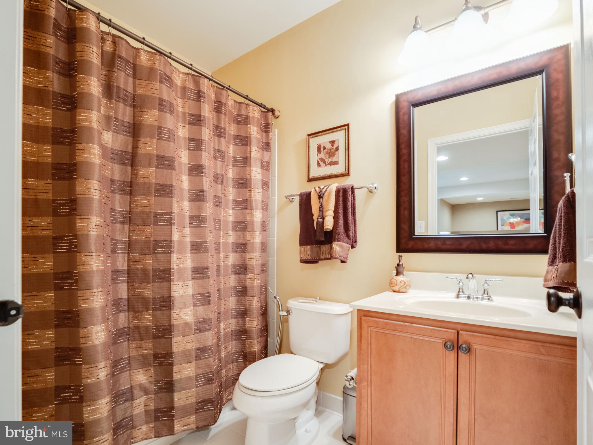 23152 Evergreen Ridge Drive Ashburn, VA 20148 - Photo 58 of 72 Charming bathroom with warm tones and decor.