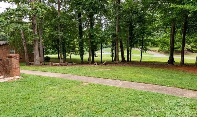 a view of field with tall trees