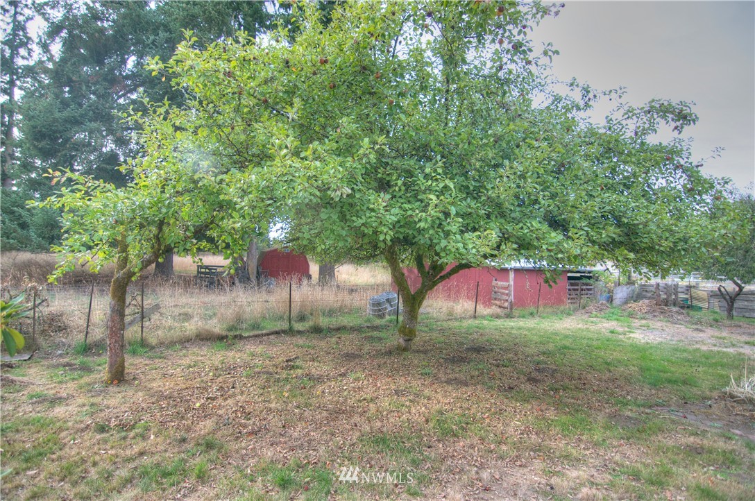 11305 Vail Road Southeast Yelm, WA 98597 - Photo 9 of 15 Gallery Image 9