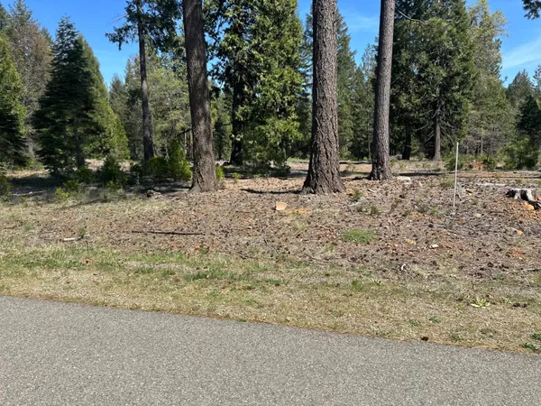 a view of outdoor space with trees