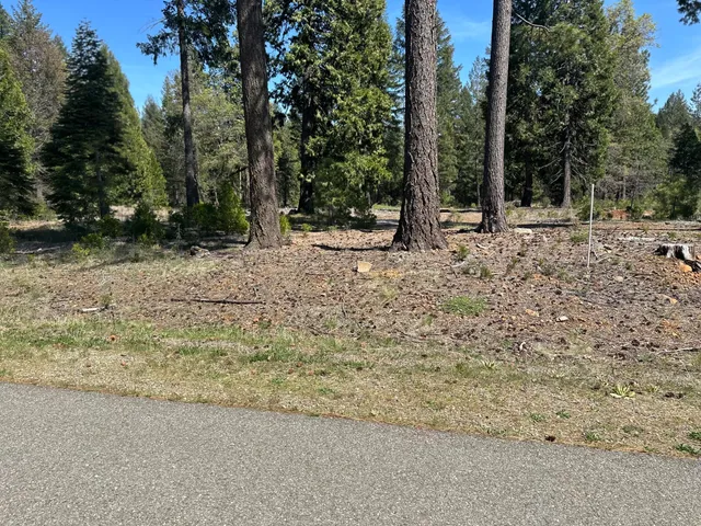 $113,500 | Lot 9 Princess Pine Place, Shingletown, CA 96088