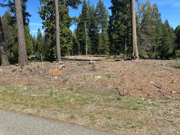 a view of a yard with trees