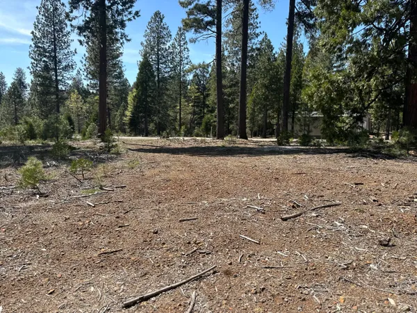 a view of outdoor space with deck and trees