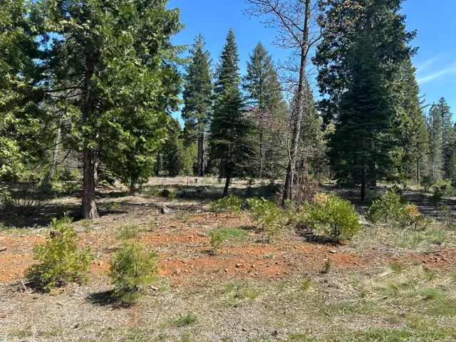 $113,500 | Lot 9 Princess Pine Place, Shingletown, CA 96088
