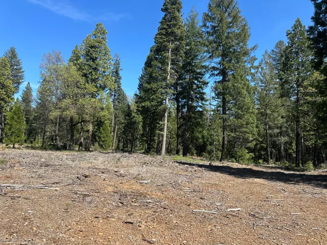 $113,500 | Lot 9 Princess Pine Place, Shingletown, CA 96088