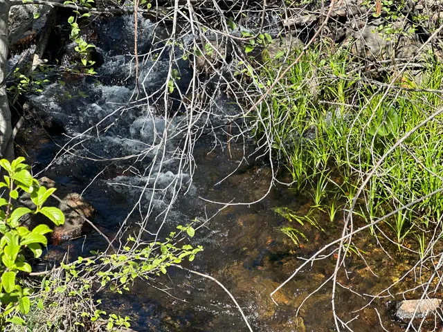 $113,500 | Lot 9 Princess Pine Place, Shingletown, CA 96088