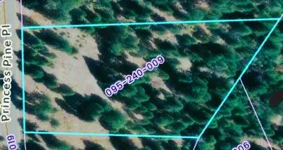 $113,500 | Lot 9 Princess Pine Place, Shingletown, CA 96088