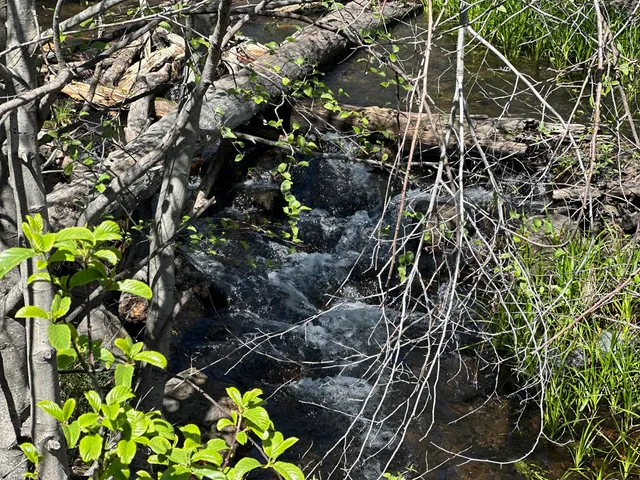 $113,500 | Lot 9 Princess Pine Place, Shingletown, CA 96088