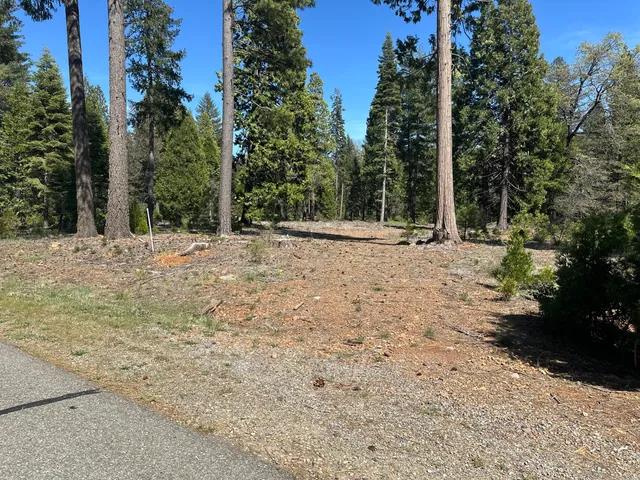 $113,500 | Lot 9 Princess Pine Place, Shingletown, CA 96088