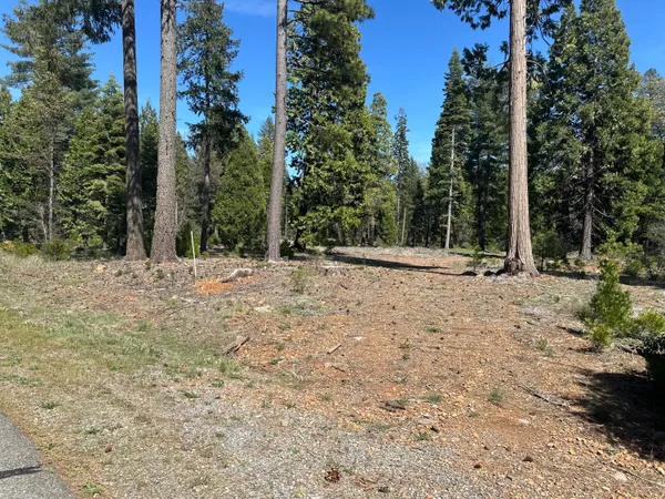 a view of outdoor space with trees