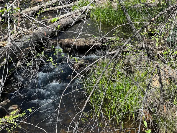 a view of empty room with trees