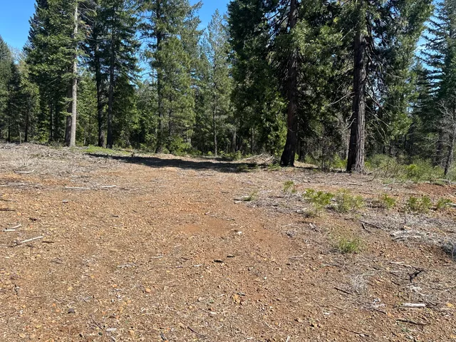 $113,500 | Lot 9 Princess Pine Place, Shingletown, CA 96088
