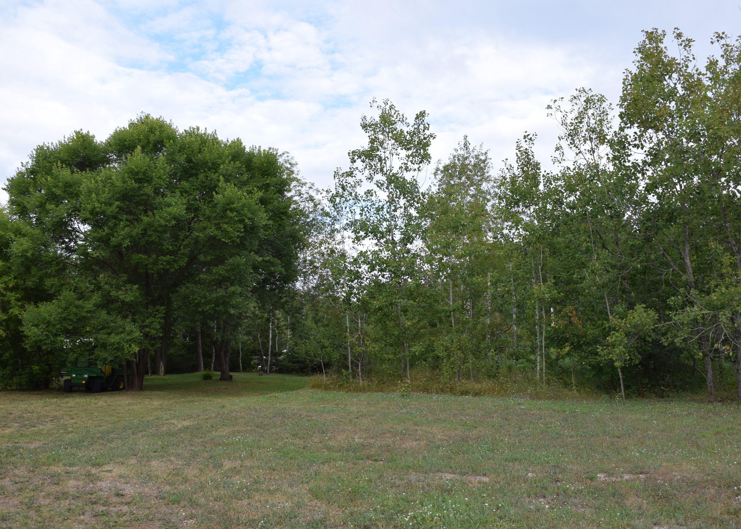 Terrace Street Alanson, MI 49706 - Photo 4 of 9 Gallery Image 4