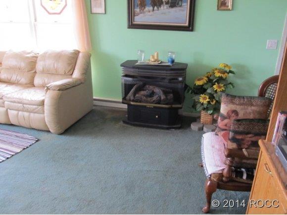 167 Sinaqua Road Hartsel, CO 80449 - Photo 5 of 21
