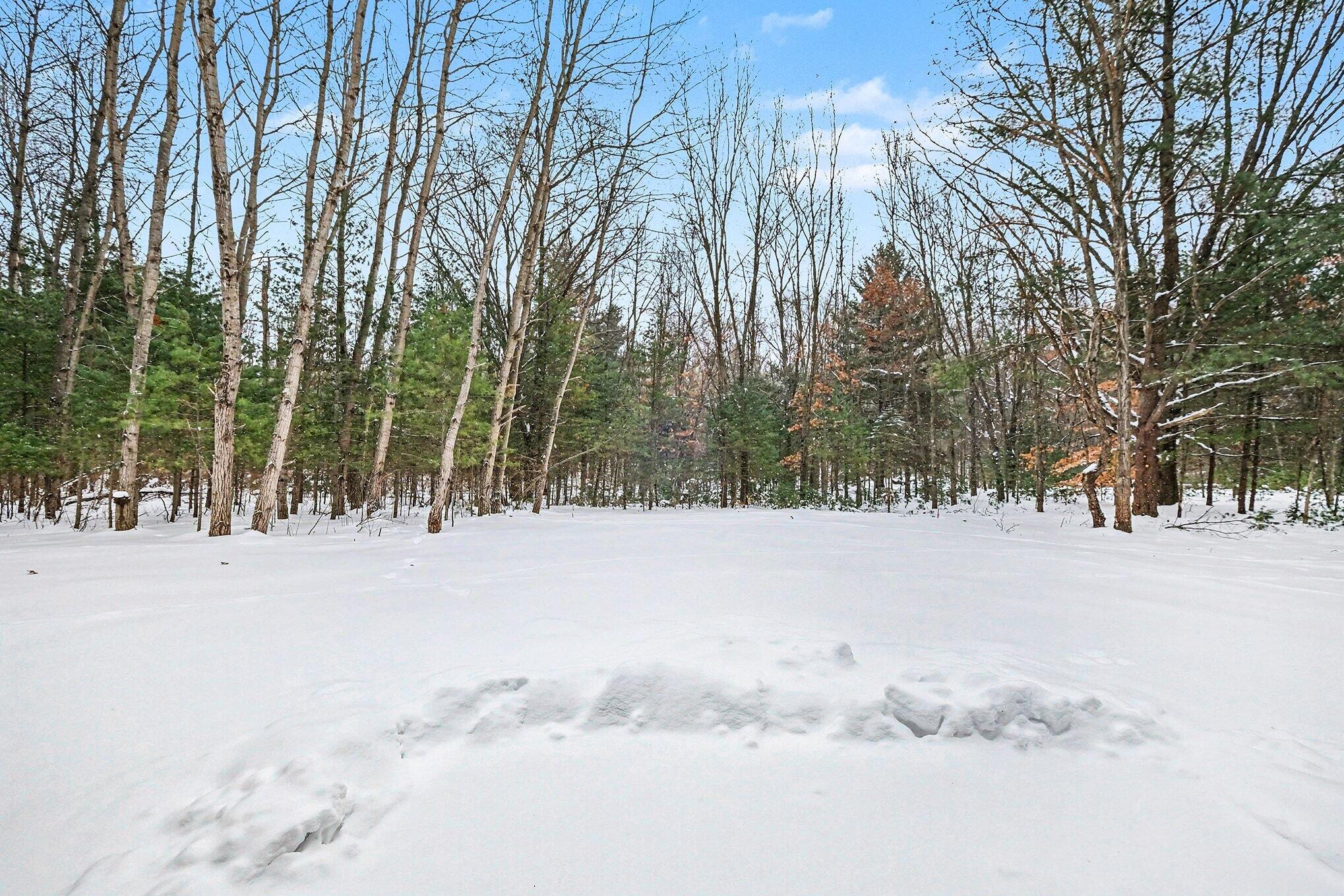 9073 West Colby Road Greenville, MI 48838 - Photo 22 of 30 026_dscf8204_660