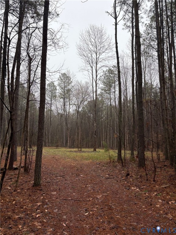 00 Devils Three Jump Road Little Plymouth, VA 23091 - Photo 6 of 6 a view of outdoor space with lots of trees