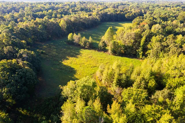 $450,000 | 424 Tennessee Highway, Cedar Grove, TN 38321