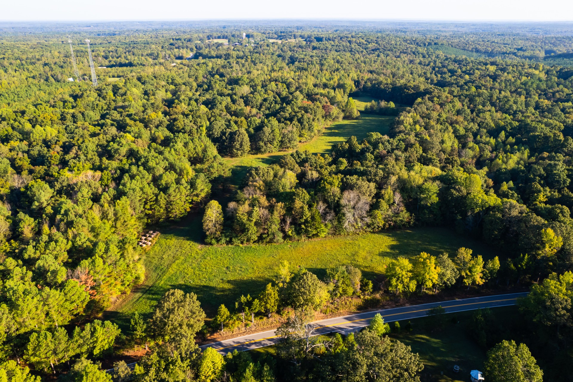 424 Tennessee Highway Cedar Grove, TN 38321 - Photo 12 of 28
