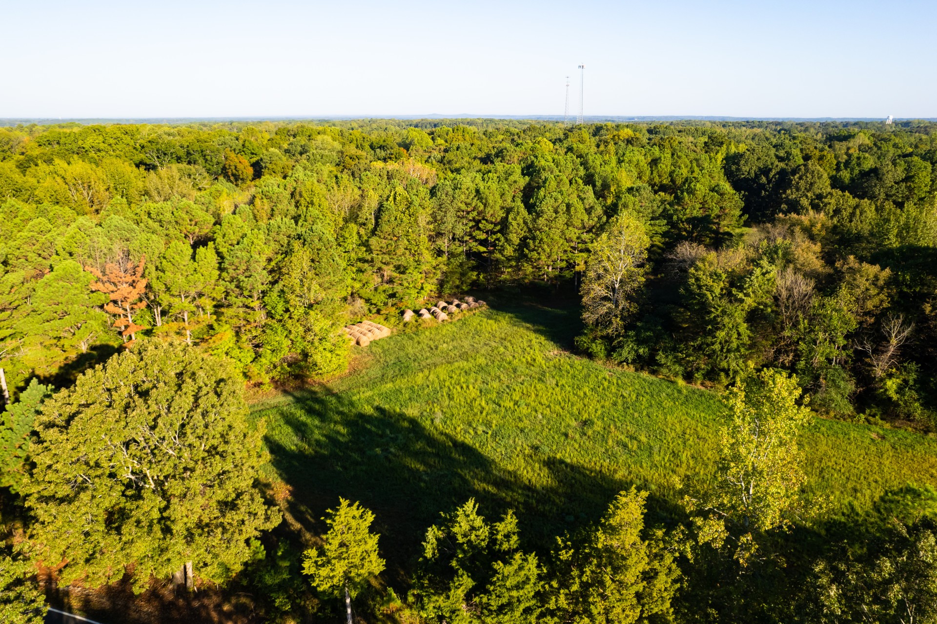 424 Tennessee Highway Cedar Grove, TN 38321 - Photo 14 of 28