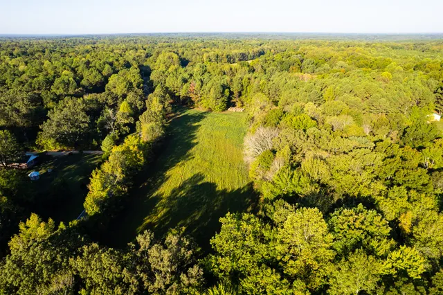 $450,000 | 424 Tennessee Highway, Cedar Grove, TN 38321