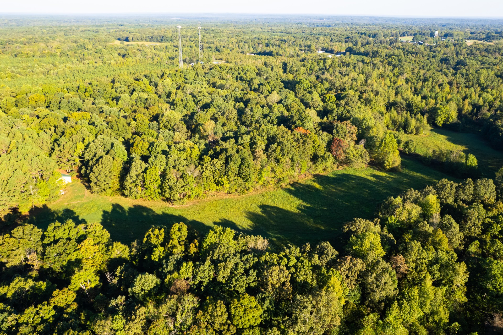 424 Tennessee Highway Cedar Grove, TN 38321 - Photo 16 of 28