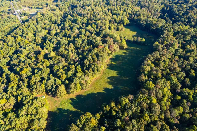 $450,000 | 424 Tennessee Highway, Cedar Grove, TN 38321