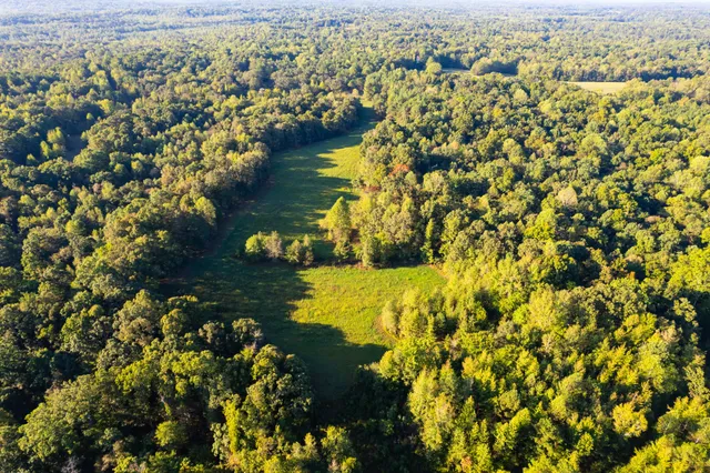 $450,000 | 424 Tennessee Highway, Cedar Grove, TN 38321