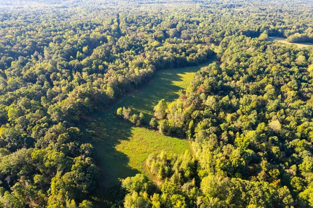 $450,000 | 424 Tennessee Highway, Cedar Grove, TN 38321