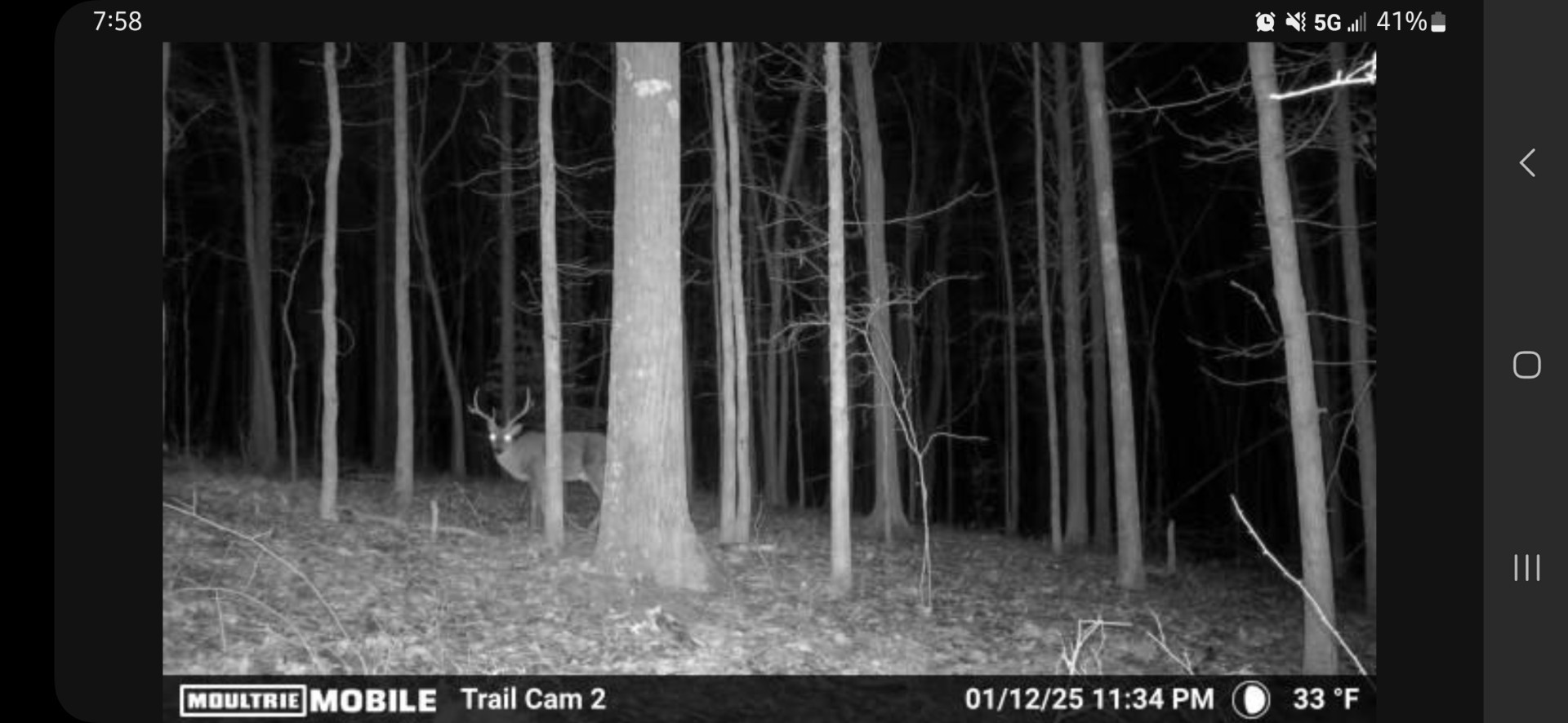 424 Tennessee Highway Cedar Grove, TN 38321 - Photo 20 of 28