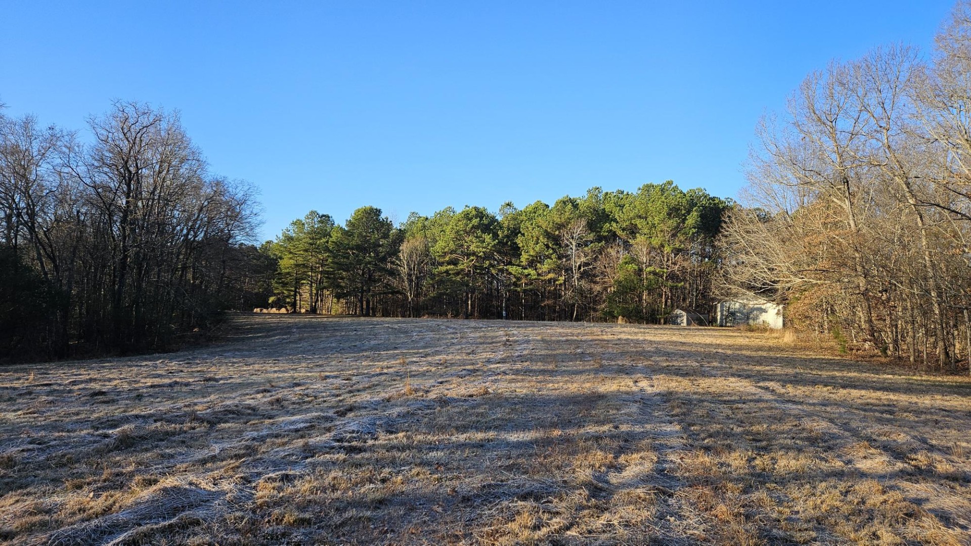 424 Tennessee Highway Cedar Grove, TN 38321 - Photo 2 of 28