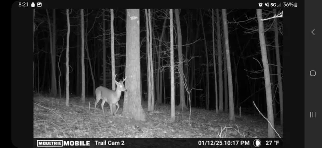 $450,000 | 424 Tennessee Highway, Cedar Grove, TN 38321