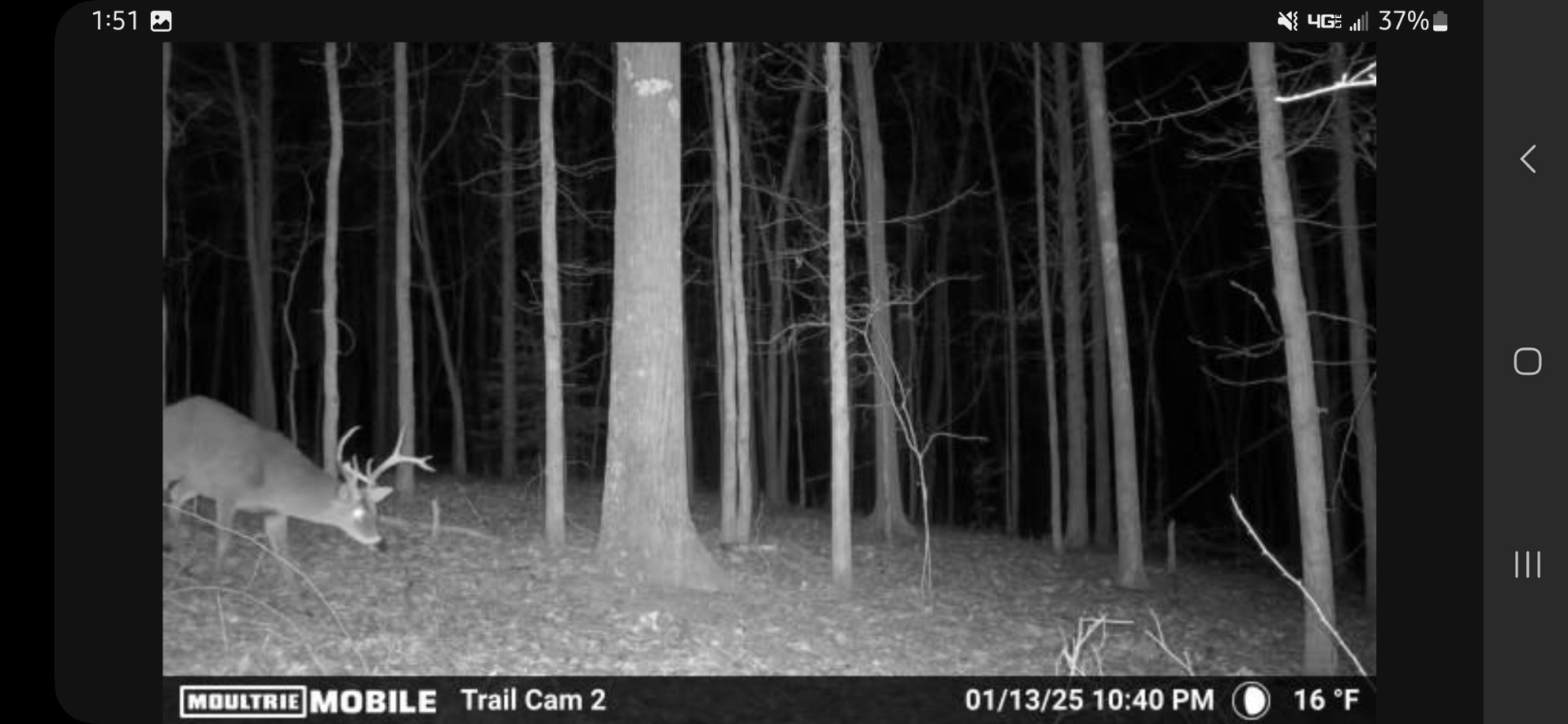 424 Tennessee Highway Cedar Grove, TN 38321 - Photo 22 of 28